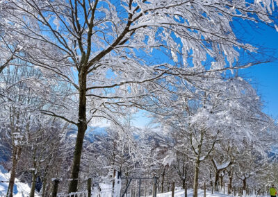 IMG_20210106_122400