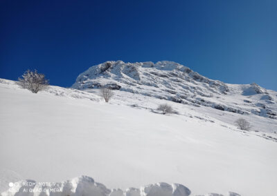 IMG_20210106_123239