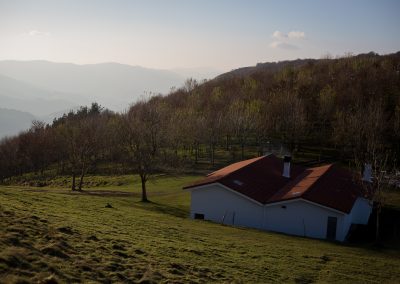 IMG_8955